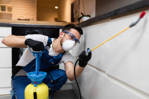 Wasp Removal Services in Astatula, FL