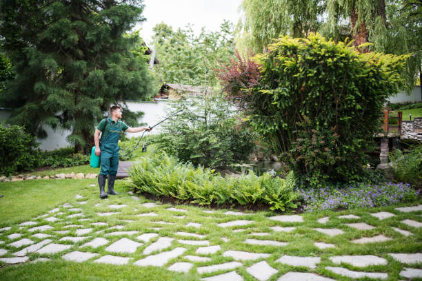 Best Ant Control Services  in Astatula, FL