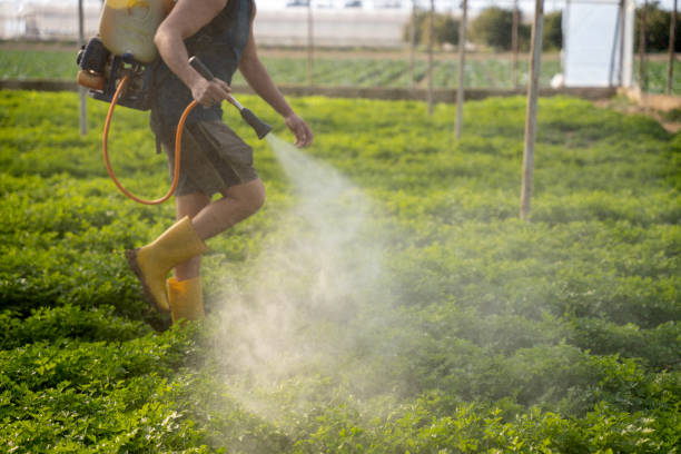 Best Mosquito Control Services  in Astatula, FL